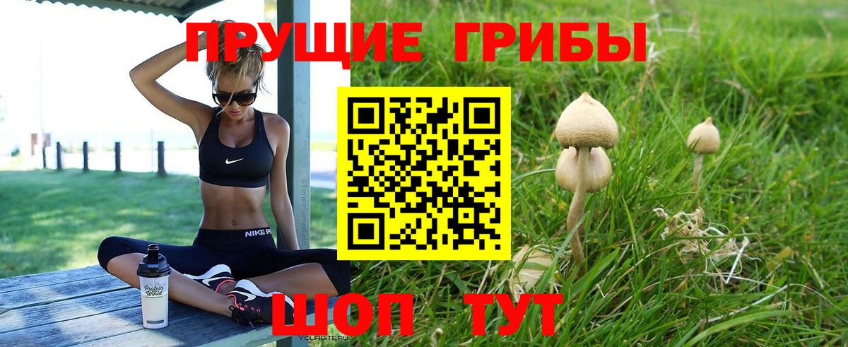 Псилоцибиновые грибы GOLDEN TEACHER Комсомольск-на-Амуре